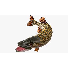 Pike Fish Jump Out Pose 3D model
